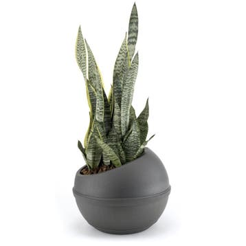 Bama Sfera Bloempot 23L 40.5x32 cm Antraciet (Overige), Verzenden, Nieuw