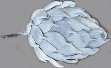 Artisjok Foambloem per stuk, Ophalen of Verzenden, Nieuw