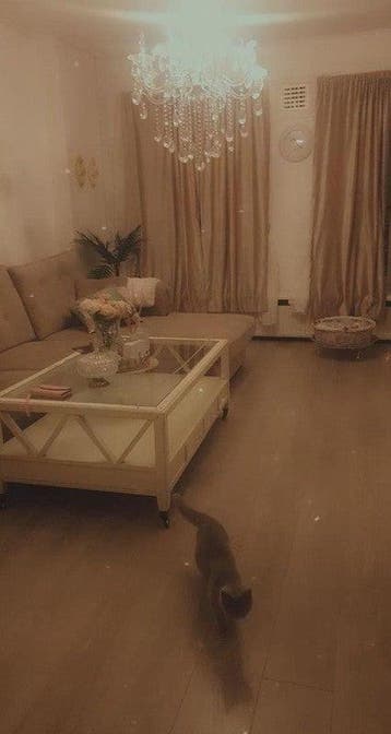 Te huur: Appartement Columbusplein in Amsterdam, Noord-Holland, Appartement, Amsterdam