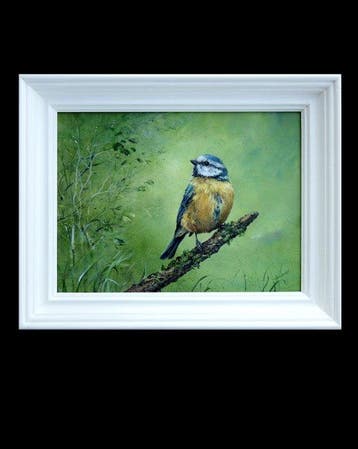 Karolina Gmiterek - The Blue Tit