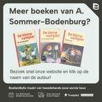 De kleine vampier in het Jammerdal / De kleine vampier / 7, Boeken, Verzenden, Gelezen, A. Sommer-Bodenburg