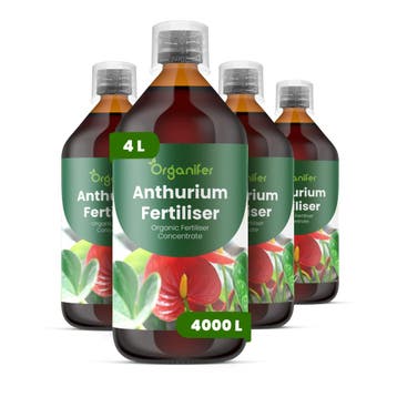 Anthurium Vloeibare Meststof - 4x1 Liter, Verzenden, Mest
