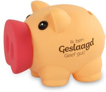 Spaarvarken Geslaagd, Ophalen of Verzenden, Nieuw