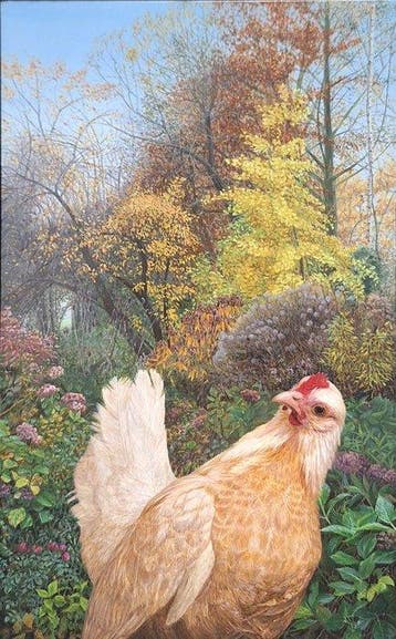 Dina Belga (1956-) - Serama in de herfst tuin