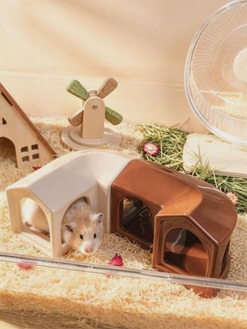 Keramisch Hamsterhuis & Speelhuisje - Comfortabel Nestje voo, Verzenden, Nieuw