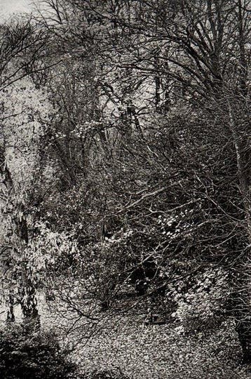 Willy Ronis (1910–2009) - Marie-Anne à Nogent-sur-Marne,