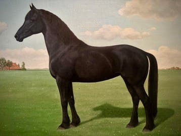 Gerhardus Jan Adema (1898-1981) - Friese Marrie majestueuze
