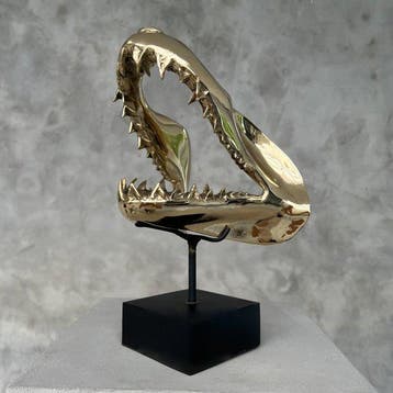 sculptuur, Finest detail, bronze-cast Mako Shark Jaws -