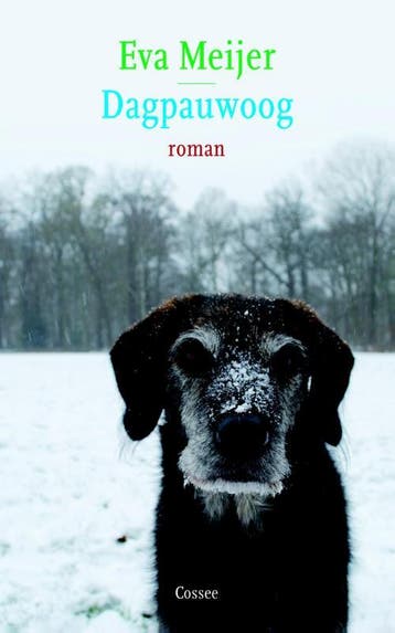 Dagpauwoog - Eva Meijer 9789059364523, Verzenden, Gelezen, Eva Meijer
