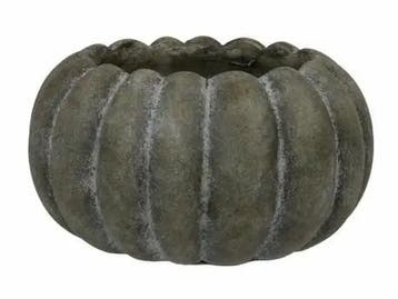 Cement bloempot pompoen decoratieve pot old green 20.5x10.5, Ophalen of Verzenden, Nieuw