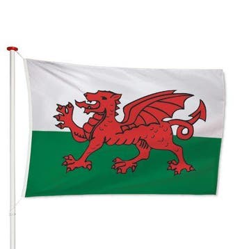 Welshe Vlag 40x60cm, Verzenden, Nieuw