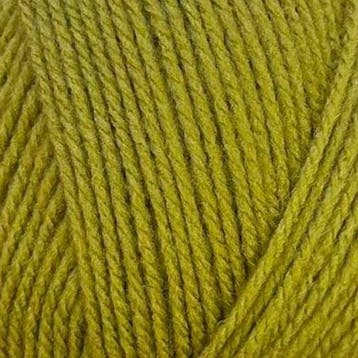 Stylecraft special DK Mistletoe - Haakgaren / Breigaren, Ophalen of Verzenden, Nieuw, Breien of Haken, Wol of Garen