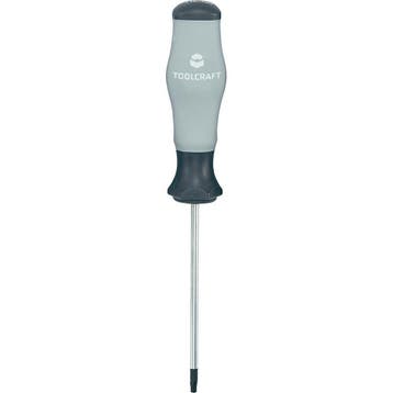 Torx T20 Schroevendraaier BMW, Verzenden, Nieuw