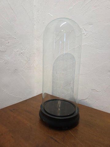 Globe - stolp - antiek - 1901-1920 - Antieke ronde stolp op