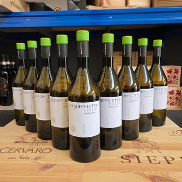 2025 Gradisciutta, Ribolla Gialla - Friuli-Venezia Giulia, Nieuw