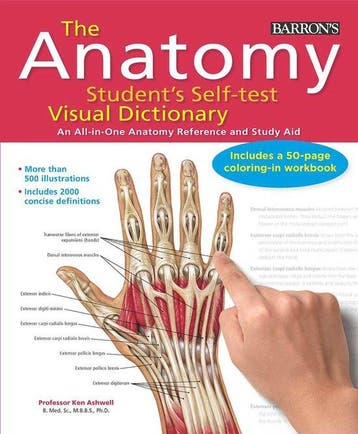 9780764147241 The Anatomy Students Self-Test Visual Dict..., Verzenden, Nieuw, Ken Ashwell