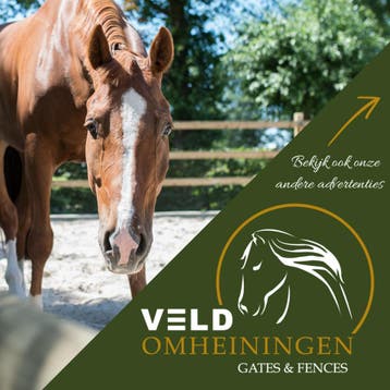 Veld Omheiningen: The way to perfection!, Dieren en Toebehoren, Stalling en Weidegang, Weidegang, 4 paarden of pony's of meer
