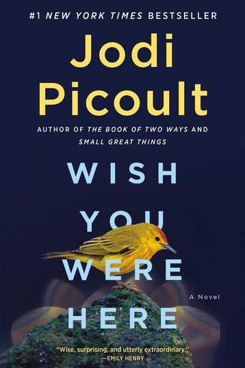 9781984818430 Wish You Were Here Jodi Picoult, Boeken, Verzenden, Nieuw, Jodi Picoult