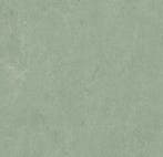 Forbo Marmoleum Fresco 3891 sage, Verzenden, Nieuw