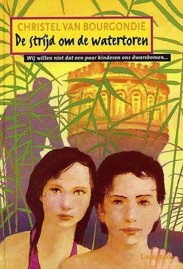Strijd Om De Watertoren - van Bourgondie, Boeken, Verzenden, Gelezen