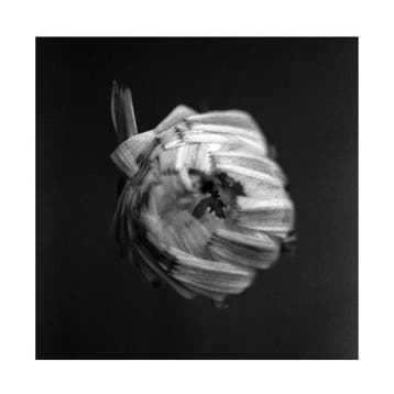 lp nieuw - a swarm of the sun - AN EMPIRE (nieuw), Verzenden, Zo goed als nieuw, Overige formaten