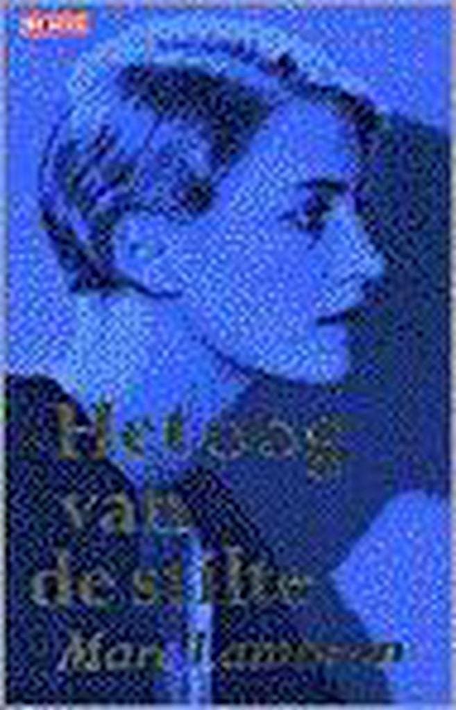 Het oog van de stilte / Koken in de wereld 9789052262093, Boeken, Romans, Gelezen, Verzenden