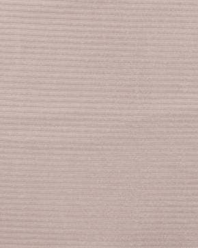 Jersey Corduroy Ecru, Nieuw, Overige kleuren