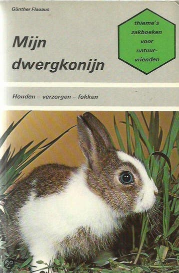 Mijn dwergkonijn - Flauaus, Verzenden, Gelezen