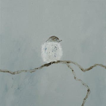 Matthieu van Riel - Bird in the Wind