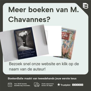 Niemand regeert - M. Chavannes 9789079985067, Verzenden, Zo goed als nieuw, M. Chavannes