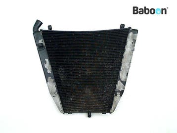 Radiateur Honda CBR 1000 RR Fireblade 2006-2007 (CBR1000RR, Verzenden, Gebruikt