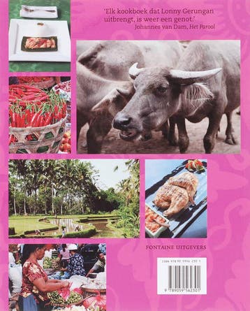 Het Bali kookboek 9789059562301 L. Gerungan, Boeken, Kookboeken, Verzenden, Gelezen, L. Gerungan