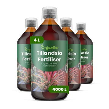 Tillandsia Vloeibare meststof - Set 4x1 liter, Verzenden, Mest