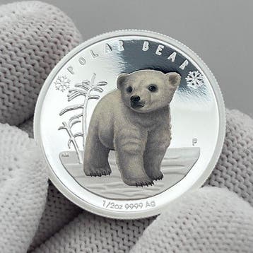 Tuvalu. 50 Cents 2017 – Polar Babies: Polar Bear – 1/2 oz