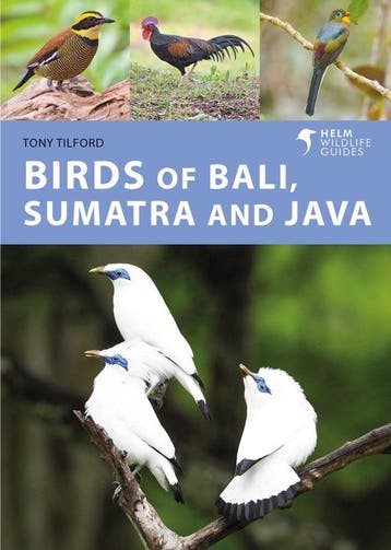 9781472986870 Helm Wildlife Guides- Birds of Bali, Sumatr..., Boeken, Verzenden, Nieuw, Tony Tilford