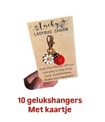 10 Gelukshanger ladybug - goudlook - lieveheersbeestje -..., Ophalen of Verzenden, Nieuw