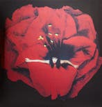 lp nieuw - Smashing Pumpkins - Adore [VINYL], Verzenden, Zo goed als nieuw