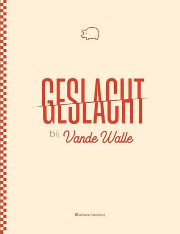 Geslacht bij Vande Walle 9789493111486, Verzenden, Gelezen