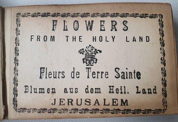 Judaica - olijfhout, papier, planten - 1920-1930 - Pilgrims