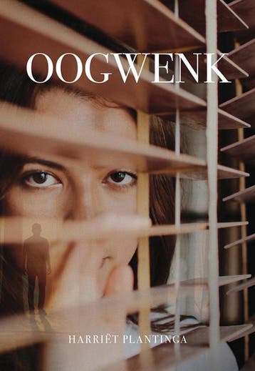 Oogwenk - Harriët Plantinga 9789463652513, Verzenden, Gelezen, Harriët Plantinga