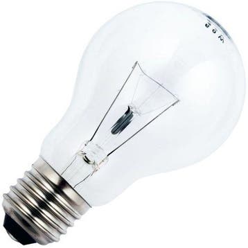 SPL Pizza ovenlamp E27 235V 40W helder 500ºC 60x105mm A60, Ophalen of Verzenden, Nieuw