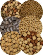 Koivoer - Visvoer diversen merken voor de beste prijzen !, Karper of Koi