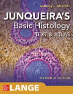 Boek Junqueiras Basic Histology: Text and Atlas, Sixteenth, Boeken, Verzenden, Zo goed als nieuw