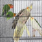 2dekans | Yaheetech Dubbele Vogelkooi - Met Wielen - Metaal, Dieren en Toebehoren, Vogels | Hokken en Kooien, Ophalen of Verzenden