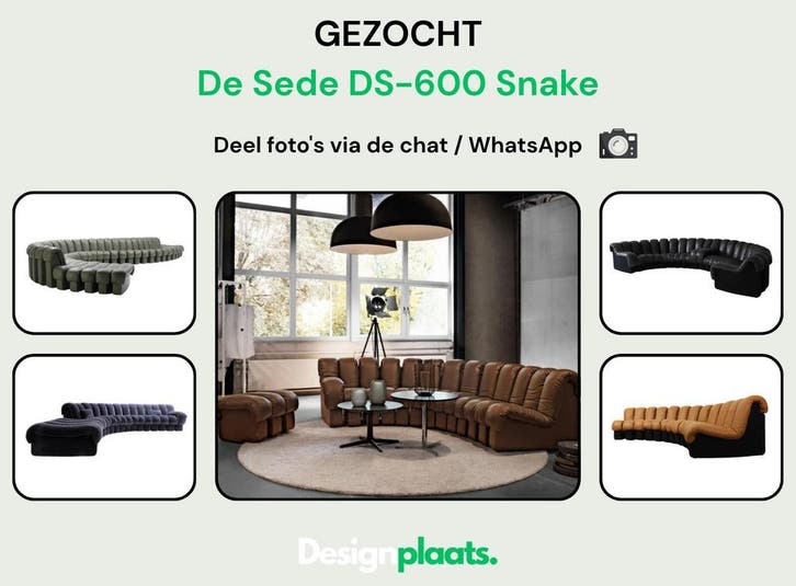 GEZOCHT: De Sede DS-600 Snake — Direct Inkoop, Huis en Inrichting, Banken | Bankstellen, Zo goed als nieuw, Stof, Ophalen of Verzenden