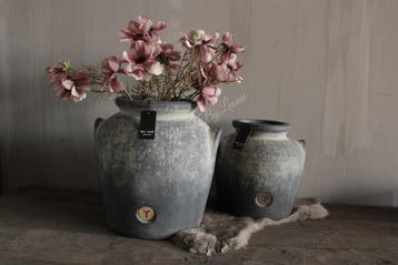 Brynxz Cosmos old pink 50 cm, Ophalen of Verzenden, Nieuw