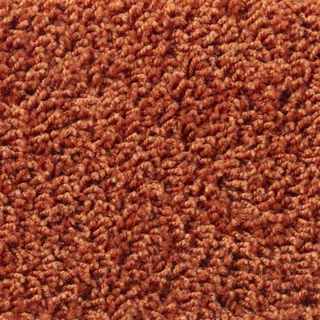 Tapijt Aanbieding | Tot 50% Korting | Grote Voorraad, Ophalen, Multi, Nieuw, 200 cm of meer