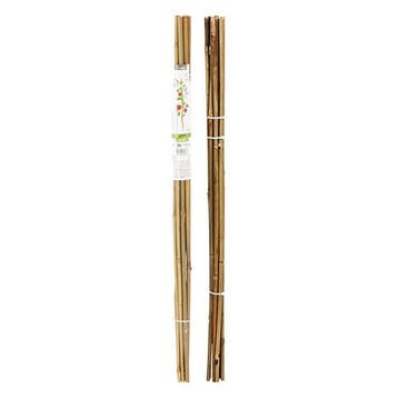 Plantenstok | Gardalux | 78 cm | 10 stuks (Ø 6/9 mm, Bamboe), Tuin en Terras, Planten | Tuinplanten, Verzenden