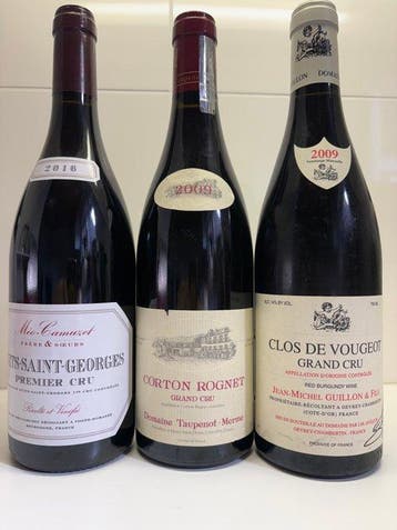2016 Méo-Camuzet Nuits-Saint-Georges 1° Cru, 2009 Domaine, Nieuw