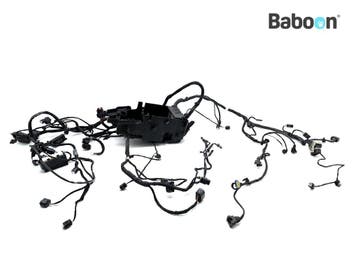 Kabelboom BMW C 400 GT 2018-2020 (C400GT K08), Verzenden, Gebruikt
